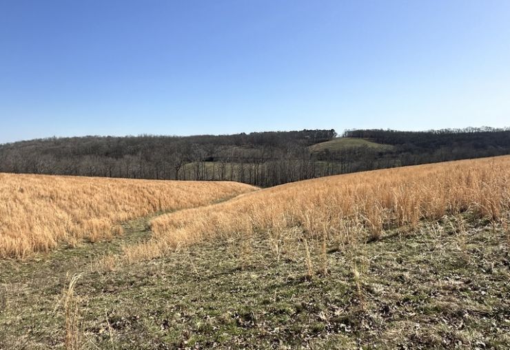 Estate of Mr. Steve L. Belew