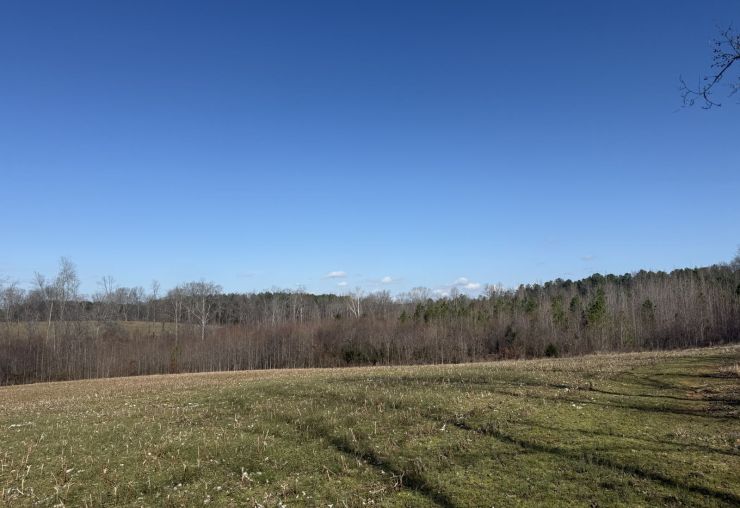 60 Acres on Salem-Minor Hill Road
