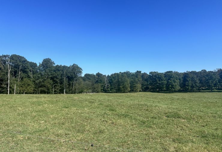 The Living Estate of Mrs. Delores T. Freeman