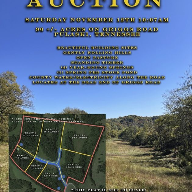 90 Acres on Griggs Road